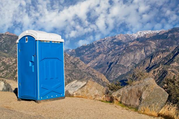 Best Portable bathroom rental  in Laingsburg, MI
